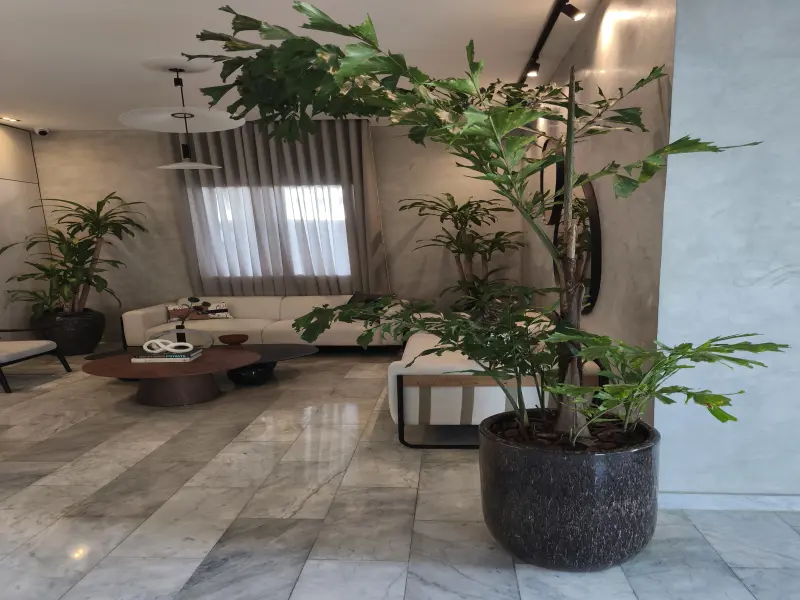 apartamento-en-alquiler-bella-vista-novoparc